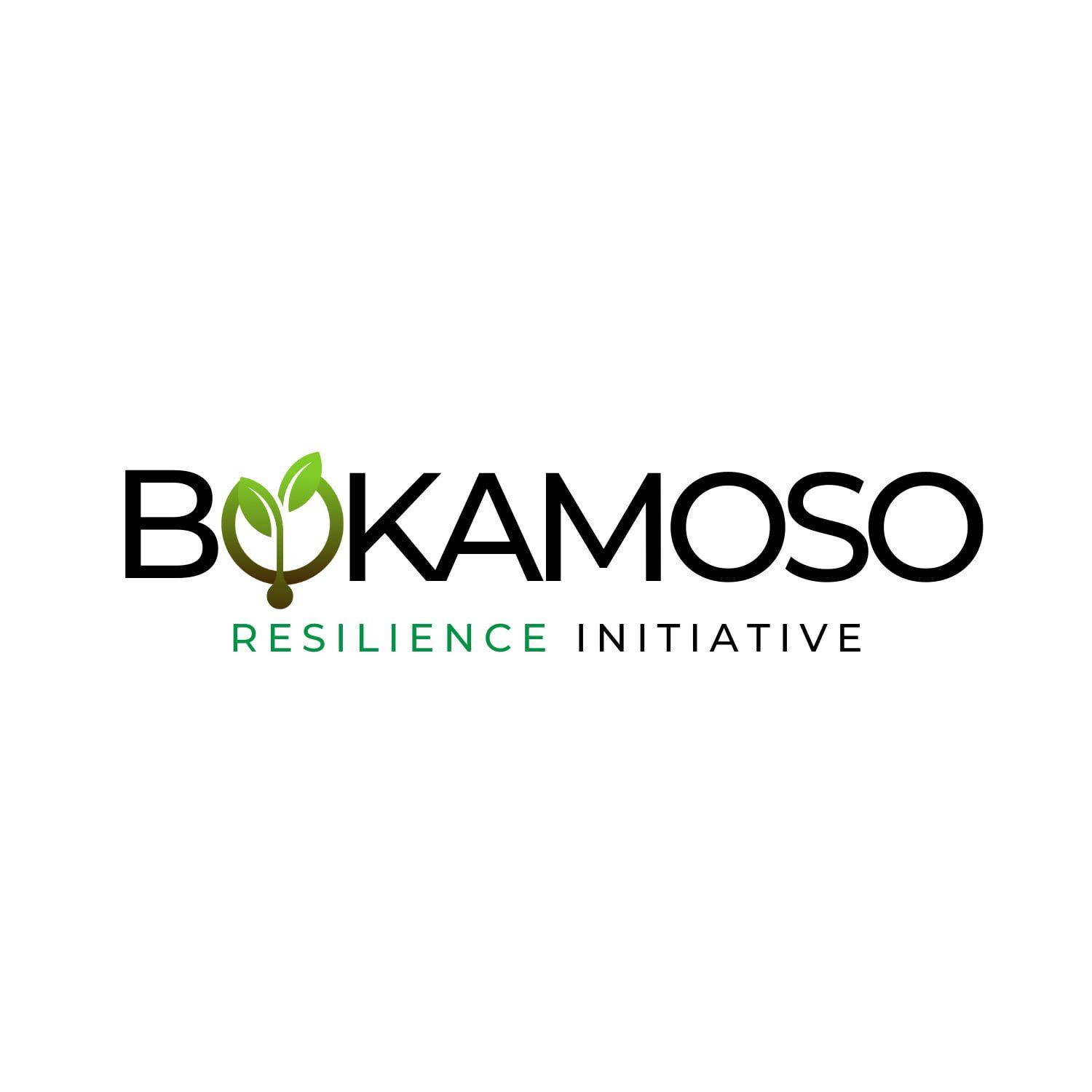 Bokamoso Resilience Initiative logo