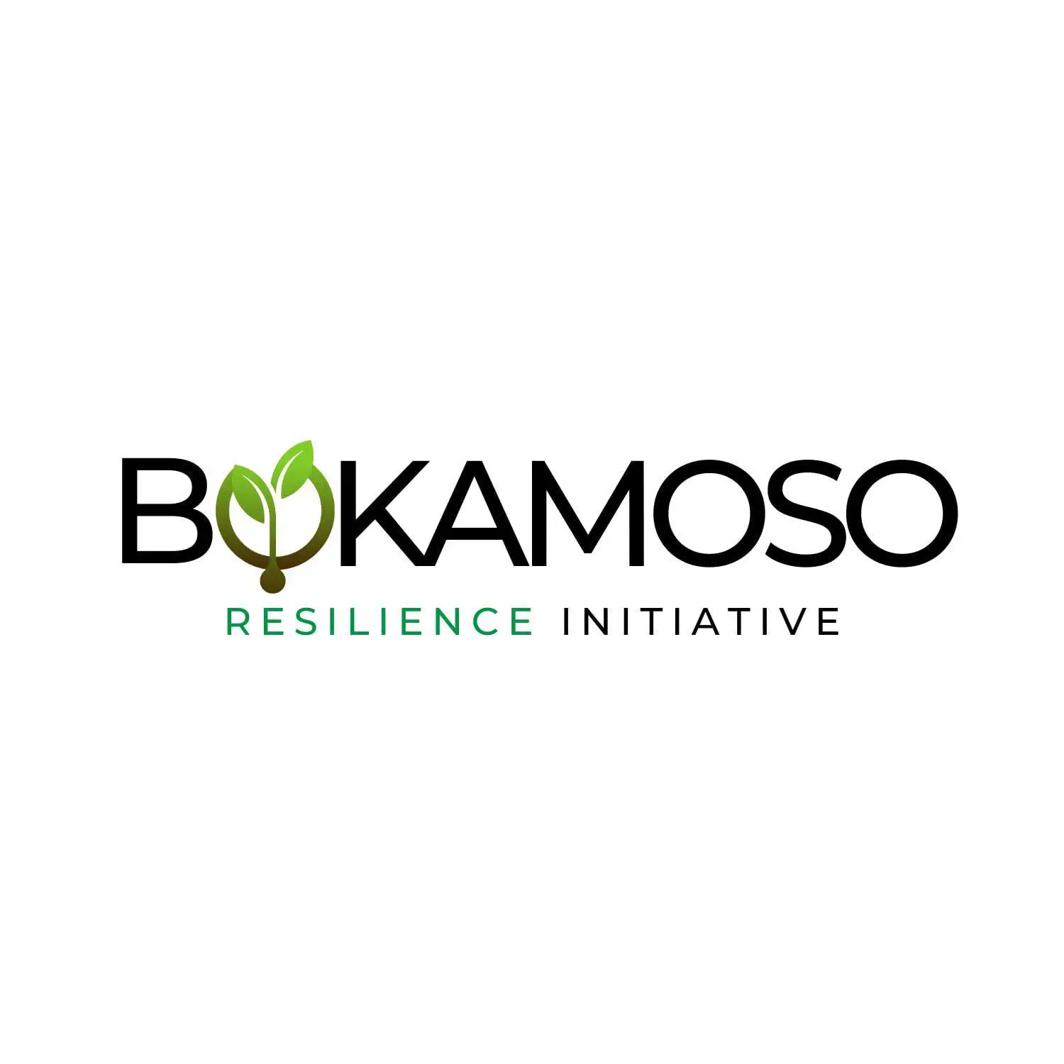 Bokamoso Resilience Initiative logo